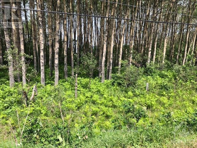 15758 Hwy 17 Highway, Whitewater Region, Ontario  K7S 3G7 - Photo 3 - X10402045