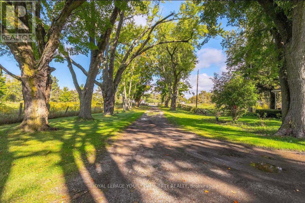 2665 Boag Road, East Gwillimbury, Ontario  L0G 1R0 - Photo 37 - N12434388