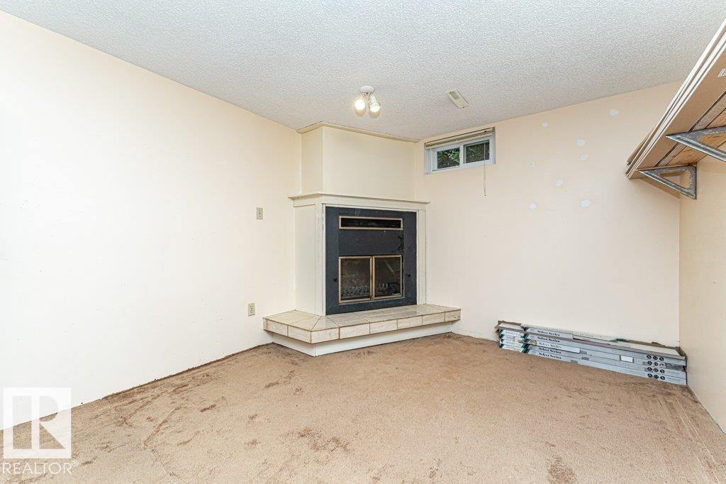10931 38 Av Nw, Edmonton, Alberta  T6J 0K6 - Photo 29 - E4459432