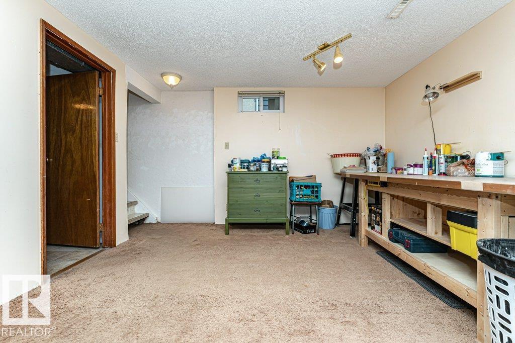 10931 38 Av Nw, Edmonton, Alberta  T6J 0K6 - Photo 25 - E4459432