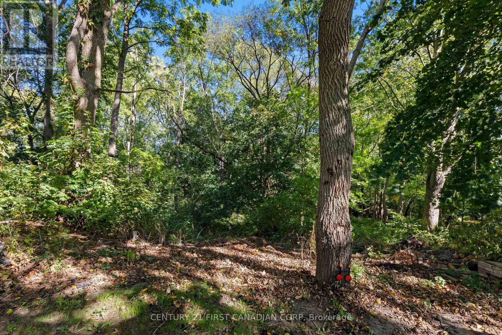 35 Victoria Street N, Aylmer, Ontario  N5H 1E6 - Photo 39 - X12434615