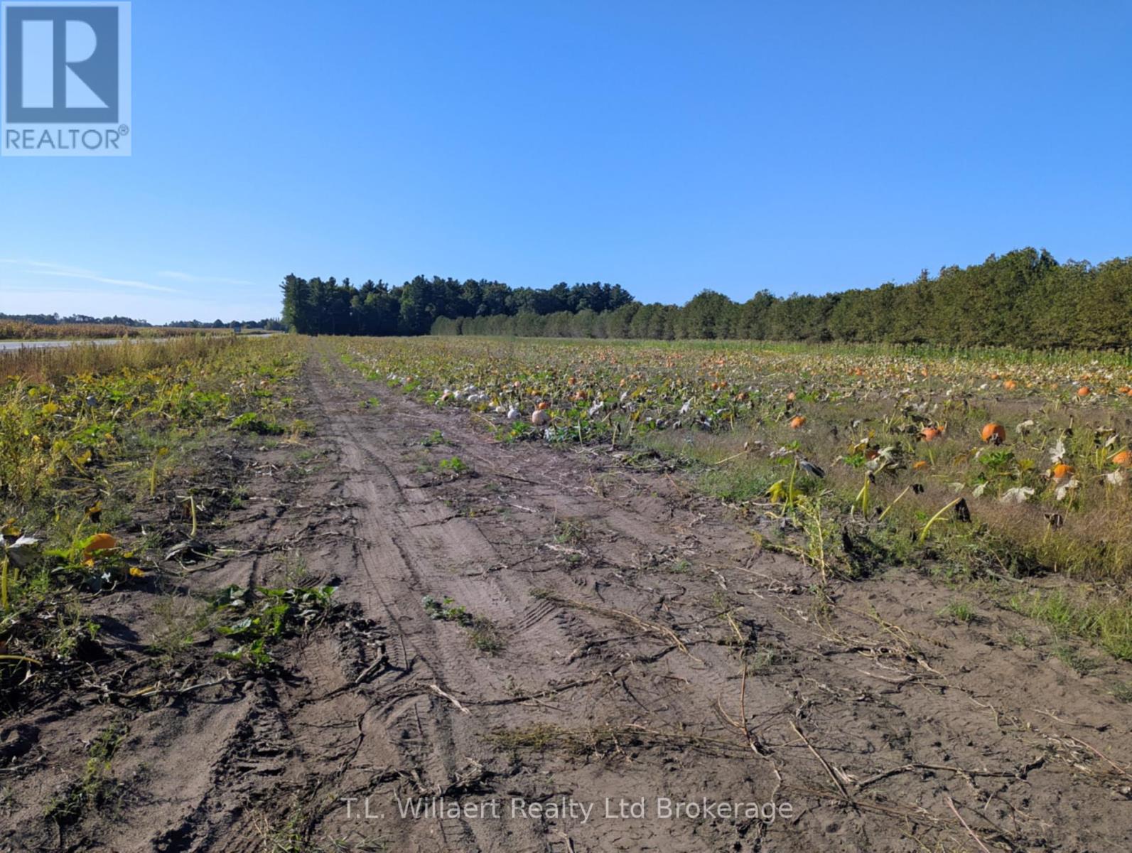 7343 Plank Road, Bayham, Ontario  N0J 1Y0 - Photo 1 - X12434762