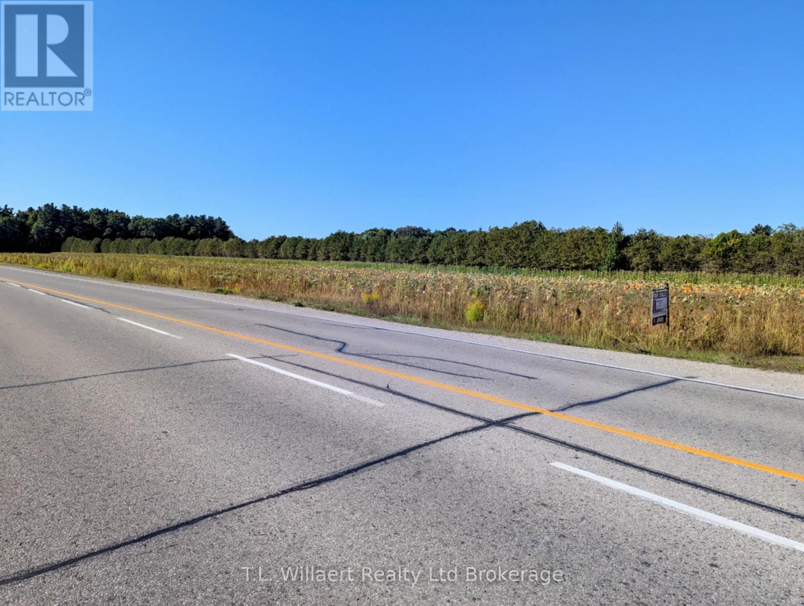 7343 Plank Road, Bayham, Ontario  N0J 1Y0 - Photo 2 - X12434762