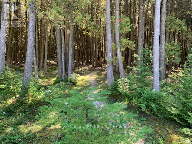 505 Pike Bay Road W, Northern Bruce Peninsula, Ontario  N0H 1W0 - Photo 45 - X12434809