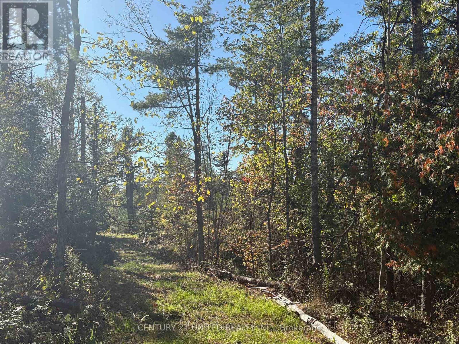 N/a Twin Sister Lakes Road, Marmora And Lake, Ontario  K0K 2M0 - Photo 11 - X12434847