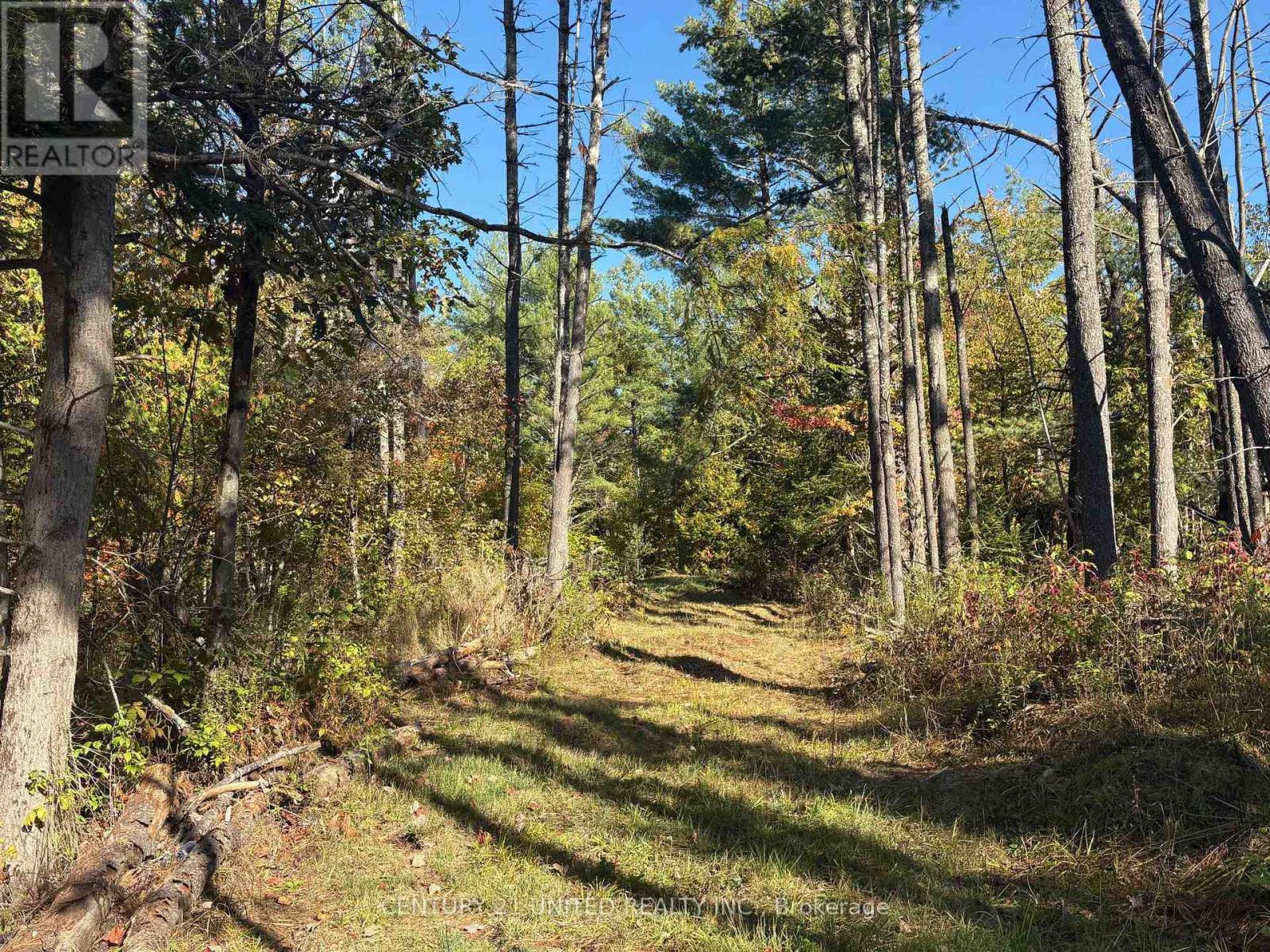 N/a Twin Sister Lakes Road, Marmora And Lake, Ontario  K0K 2M0 - Photo 12 - X12434847
