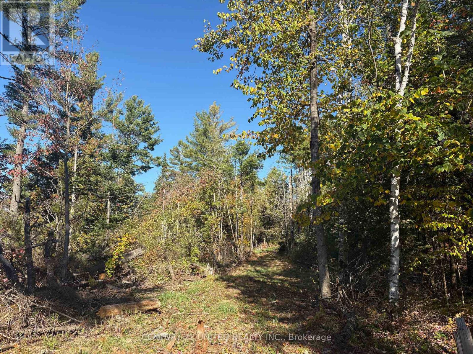 N/a Twin Sister Lakes Road, Marmora And Lake, Ontario  K0K 2M0 - Photo 14 - X12434847