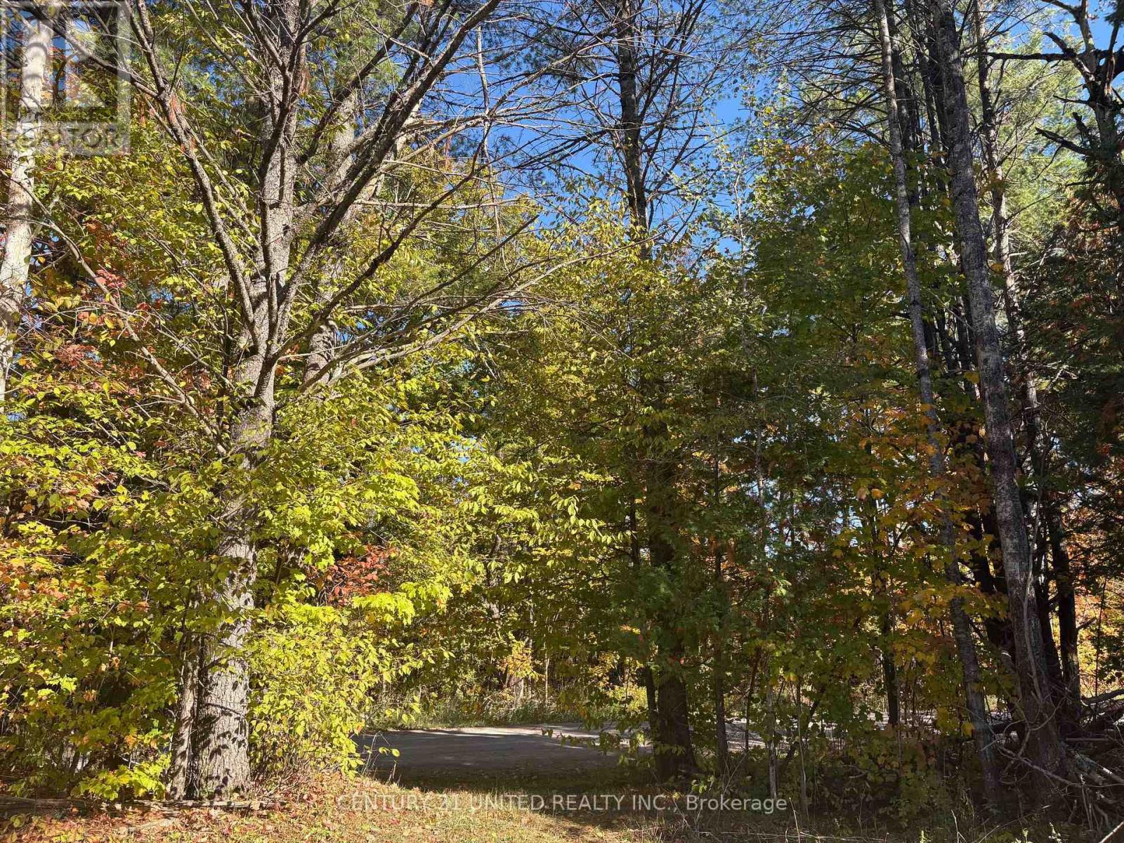N/a Twin Sister Lakes Road, Marmora And Lake, Ontario  K0K 2M0 - Photo 16 - X12434847