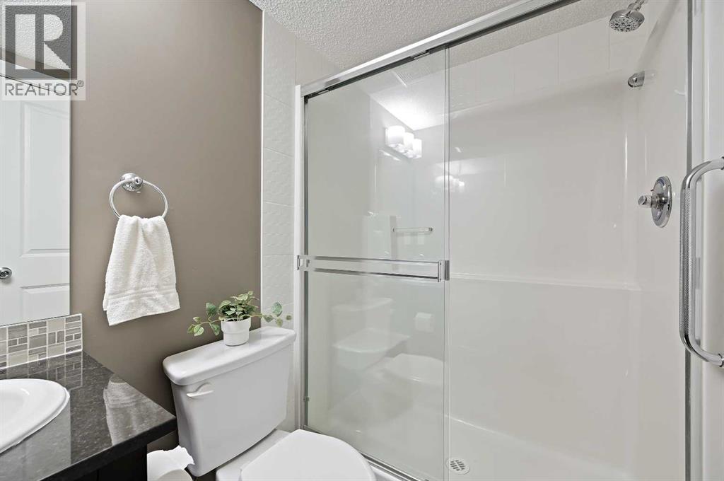8113, 403 Mackenzie Way Sw, Airdrie, Alberta  T4B 3V7 - Photo 20 - A2242399