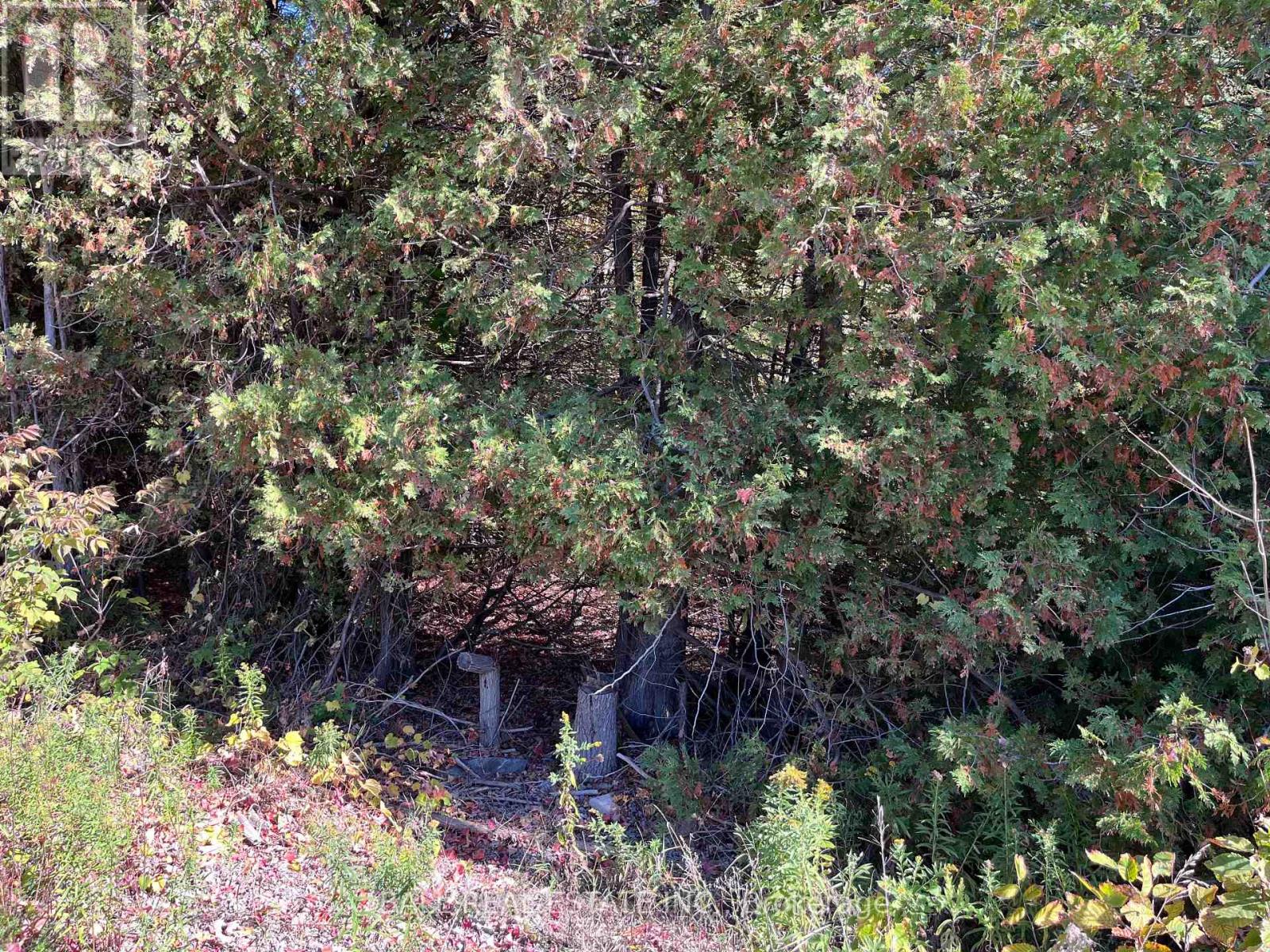 N/a Koa Road, Marmora And Lake, Ontario  K0K 2M0 - Photo 2 - X12434993