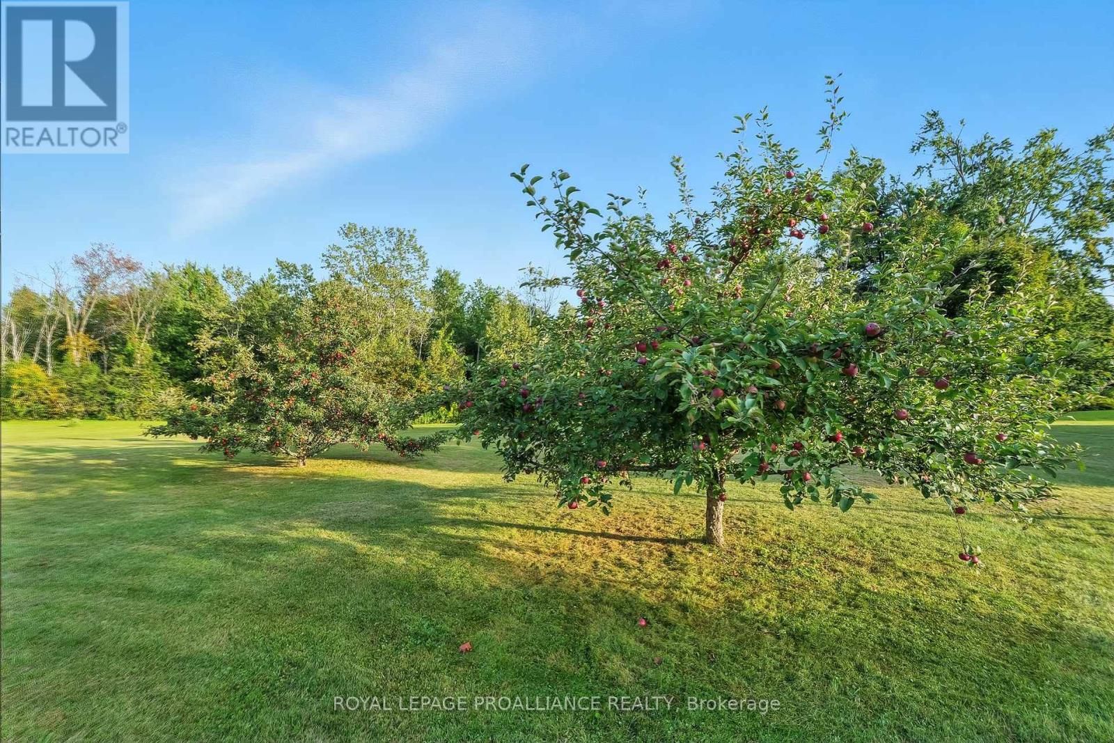 13799 County 21 Road, Cramahe, Ontario  K0K 1S0 - Photo 37 - X12435007