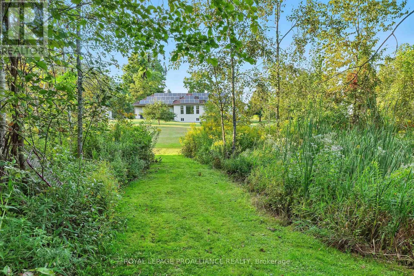 13799 County 21 Road, Cramahe, Ontario  K0K 1S0 - Photo 38 - X12435007