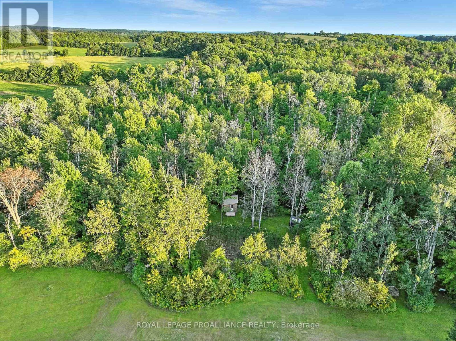 13799 County 21 Road, Cramahe, Ontario  K0K 1S0 - Photo 39 - X12435007