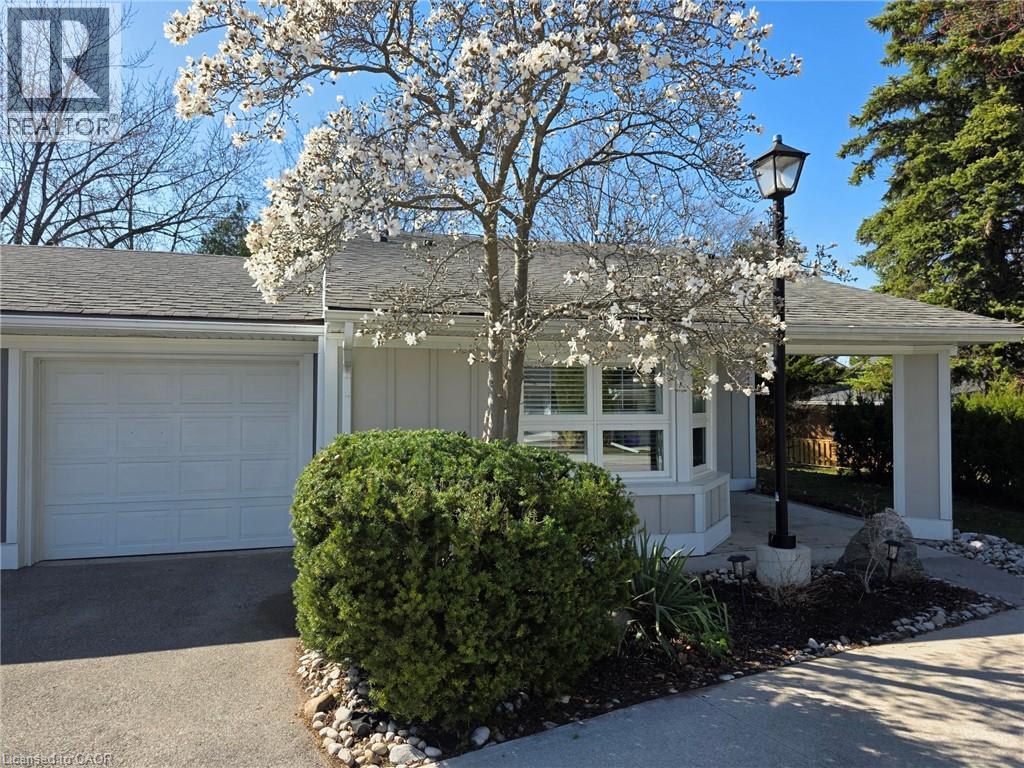 16 SISTER VARGA Terrace, Hamilton, Ontario