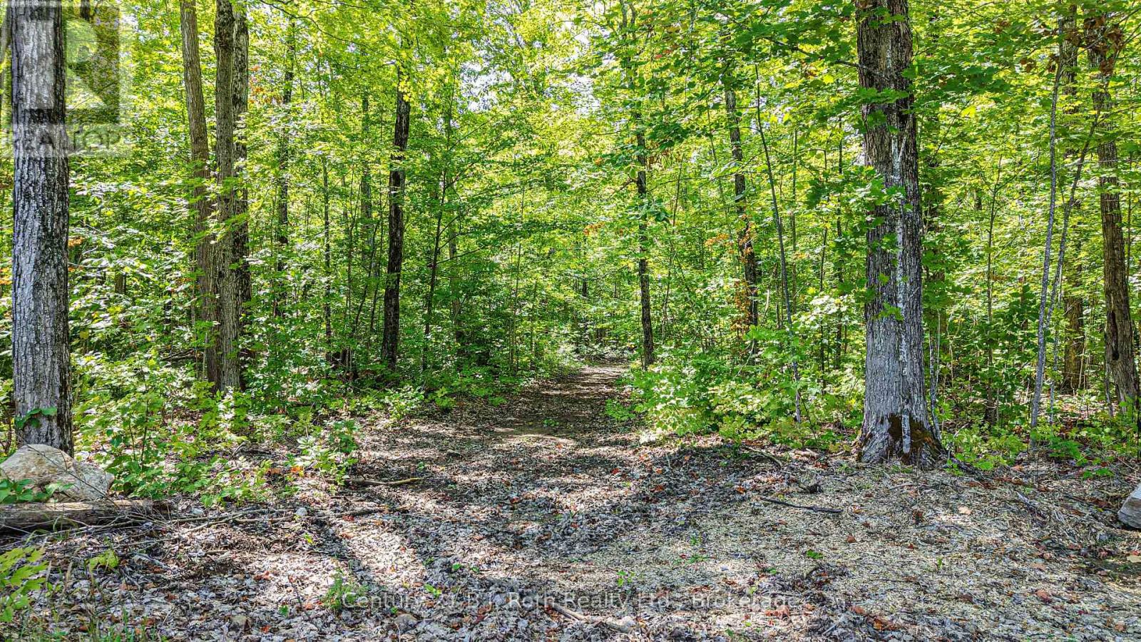 3082 Fairgrounds Road, Severn, Ontario  L3V 0Y2 - Photo 5 - S12435180