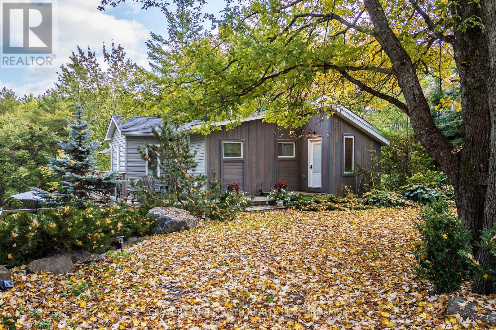 8101 Kings River Road, Ramara, Ontario  L0K 2B0 - Photo 7 - S12435134
