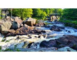 8101 KINGS RIVER ROAD, Ramara, Ontario
