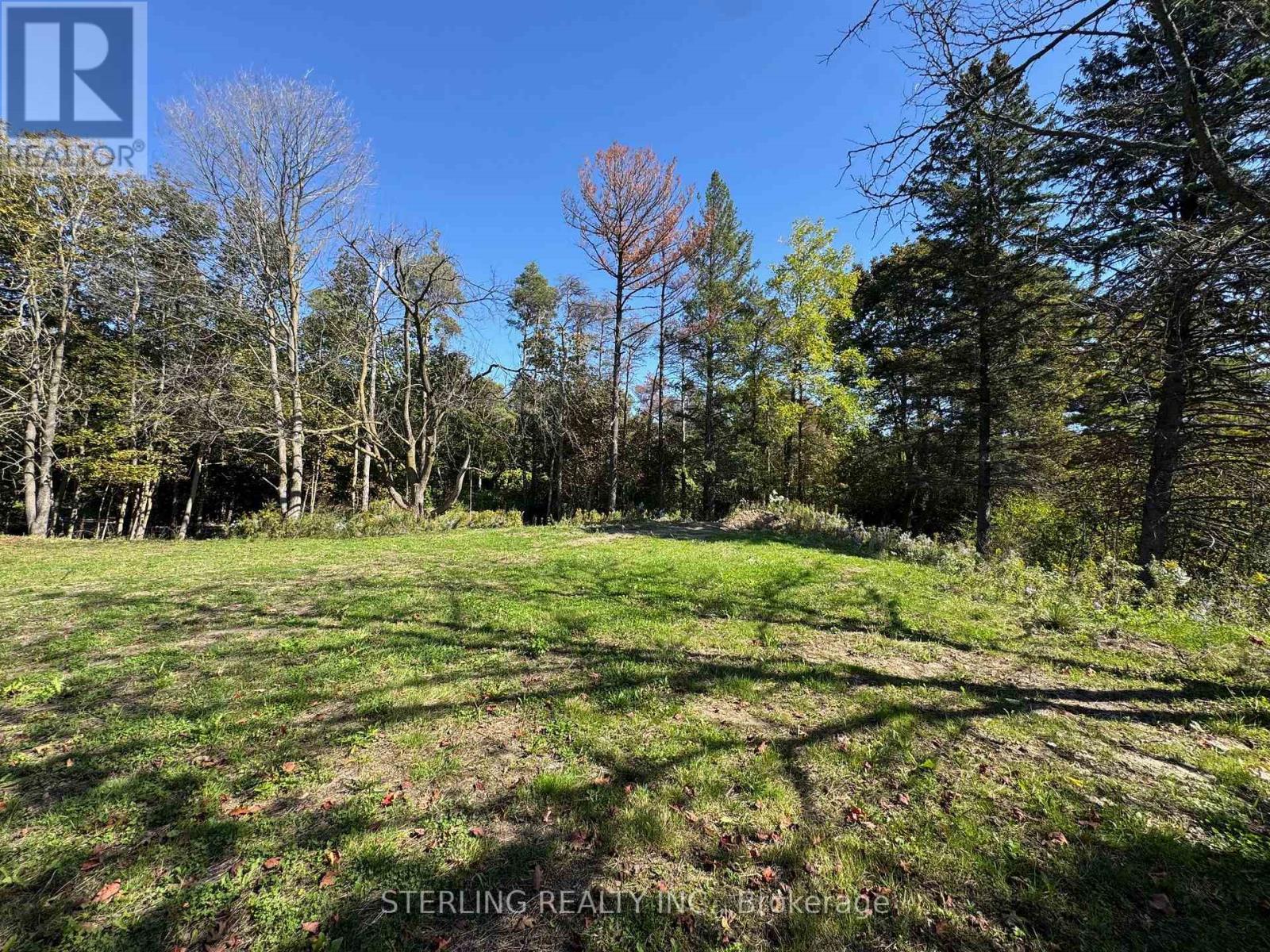 345 Myrtle Road E, Whitby, Ontario  L1H 7K4 - Photo 32 - E12429193