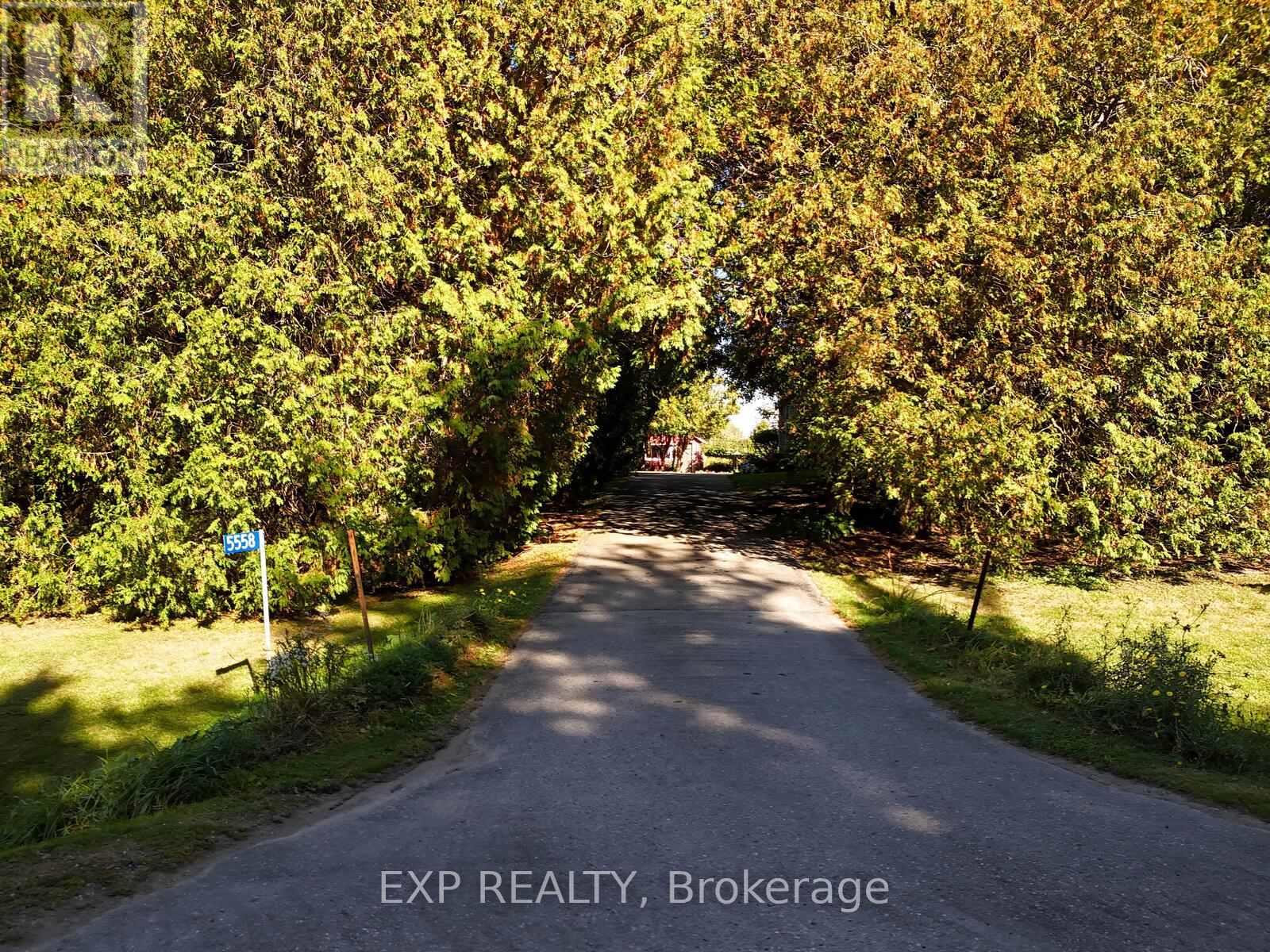 5558 Cobble Hill Road, Zorra, Ontario  N0M 2M0 - Photo 34 - X12435311
