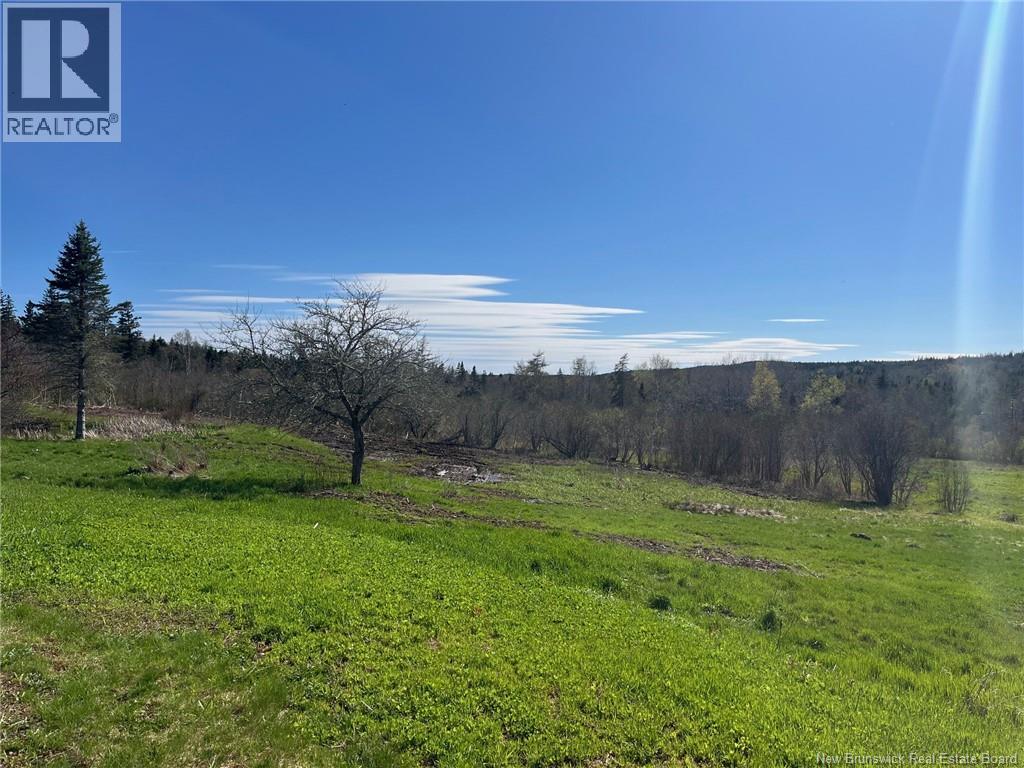 386 Route 915, Harvey Bank, New Brunswick  E4H 2M2 - Photo 27 - NB115422