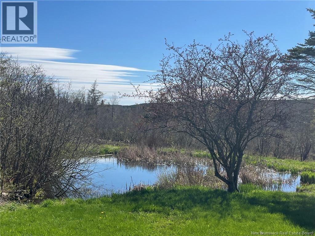386 Route 915, Harvey Bank, New Brunswick  E4H 2M2 - Photo 26 - NB115422