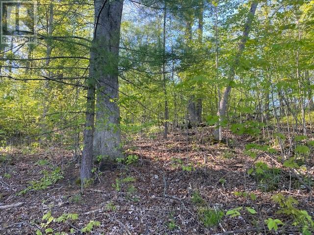 3519 County Rd 3 Road, Leeds And The Thousand Islands, Ontario  K0E 1N0 - Photo 14 - X12435401