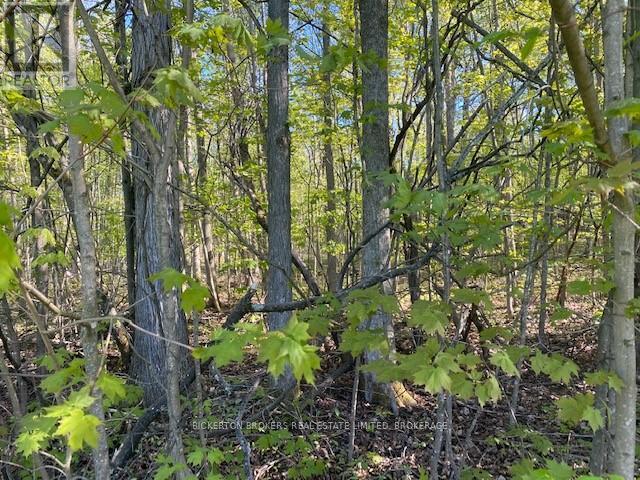 3519 County Rd 3 Road, Leeds And The Thousand Islands, Ontario  K0E 1N0 - Photo 20 - X12435401
