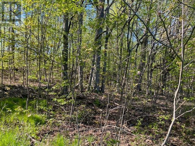 3519 County Rd 3 Road, Leeds And The Thousand Islands, Ontario  K0E 1N0 - Photo 23 - X12435401