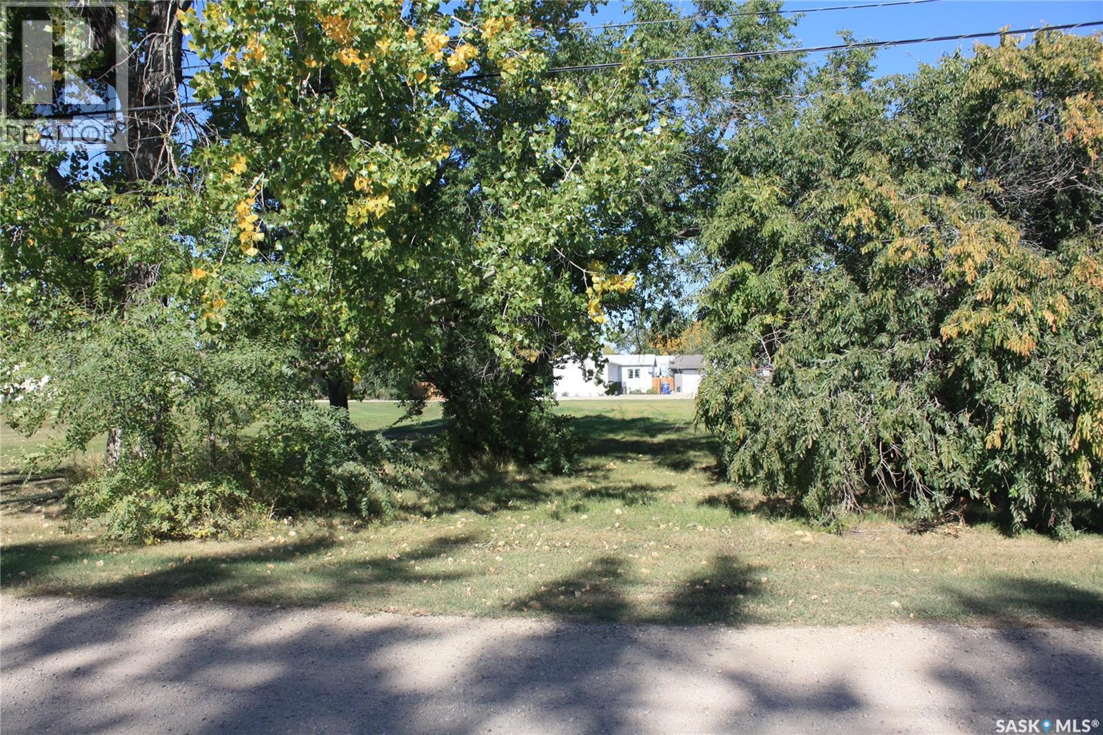 310 1st Street, Dundurn, Saskatchewan  S0K 1K0 - Photo 4 - SK019675