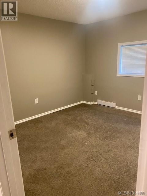 38 Cowichan Ave, Lake Cowichan, British Columbia  V0R 2G0 - Photo 38 - 1015399