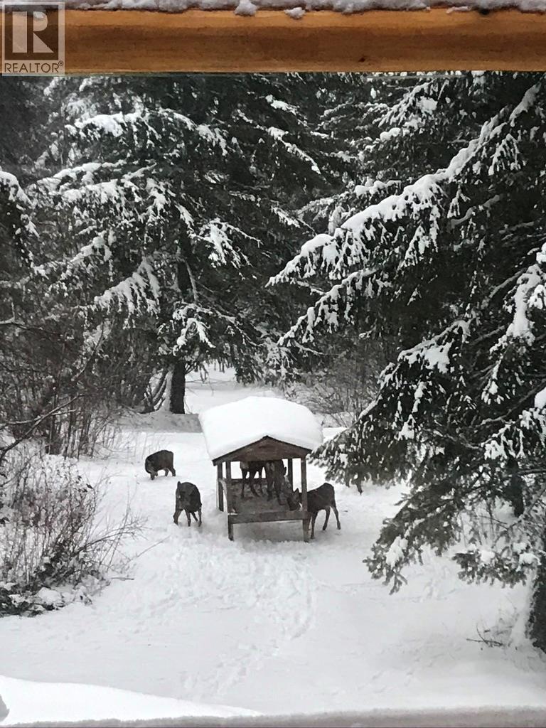 4878 Leopold Road, Celista, British Columbia  V0E 1M6 - Photo 65 - 10363420