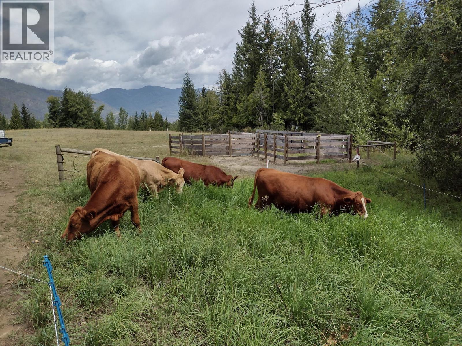 4878 Leopold Road, Celista, British Columbia  V0E 1M6 - Photo 61 - 10363420