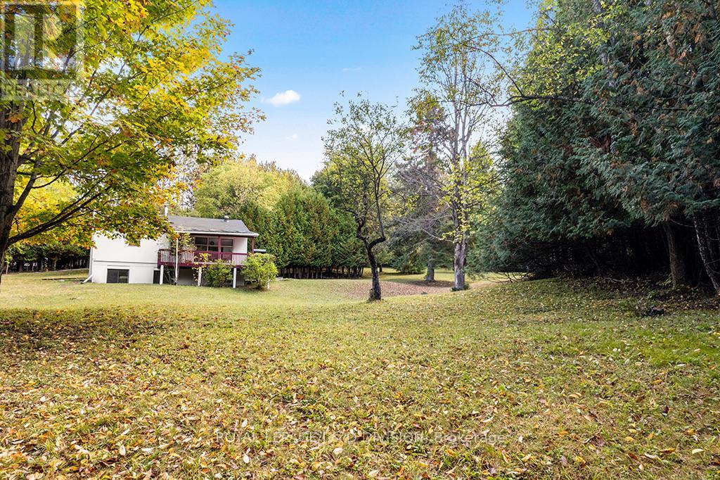 637202 Prince Of Wales Road, Mulmur, Ontario  L0N 1J0 - Photo 35 - X12435536