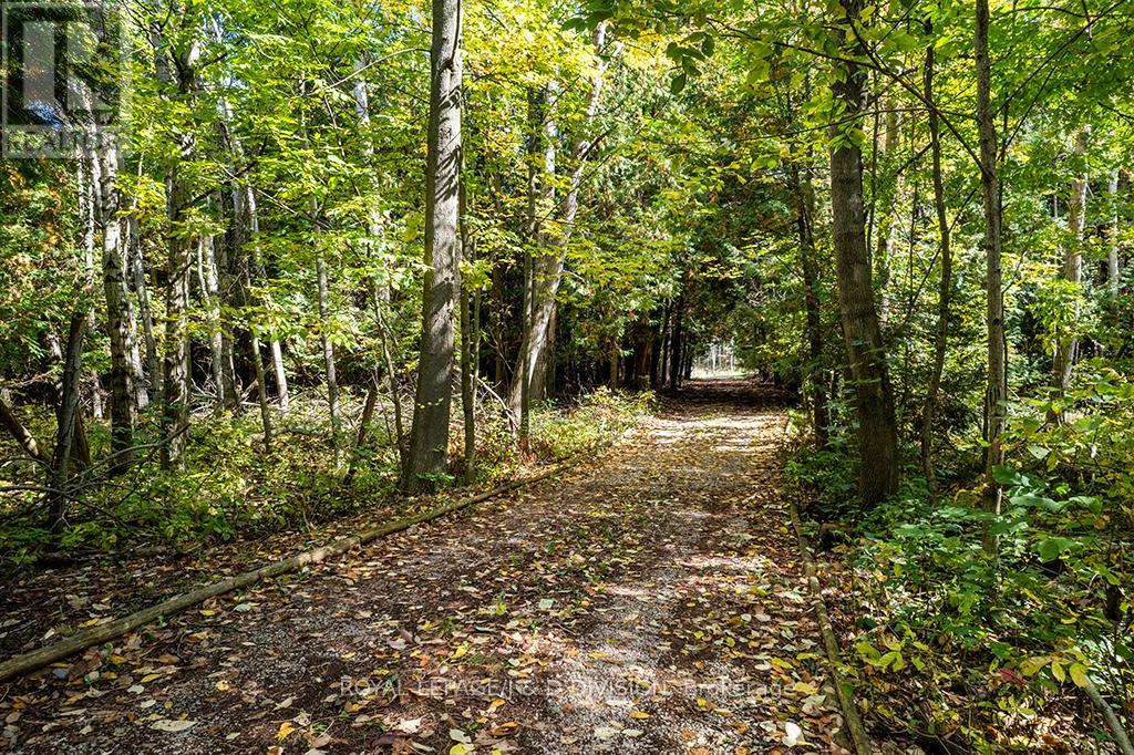 637202 Prince Of Wales Road, Mulmur, Ontario  L0N 1J0 - Photo 44 - X12435536
