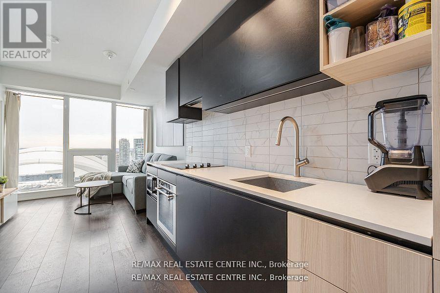3001 - 55 Mercer Street, Toronto, Ontario  M5V 3W2 - Photo 15 - C12433263