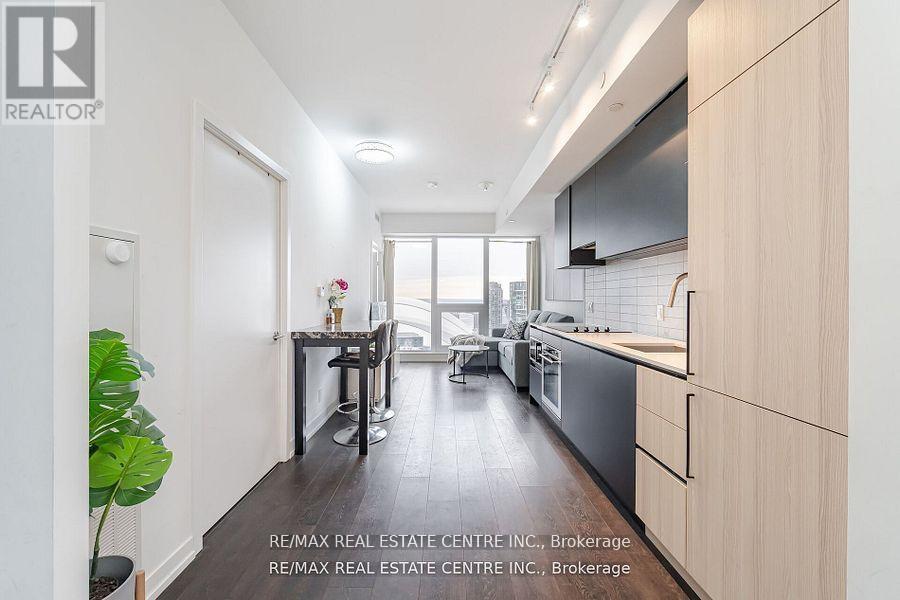 3001 - 55 Mercer Street, Toronto, Ontario  M5V 3W2 - Photo 7 - C12433263