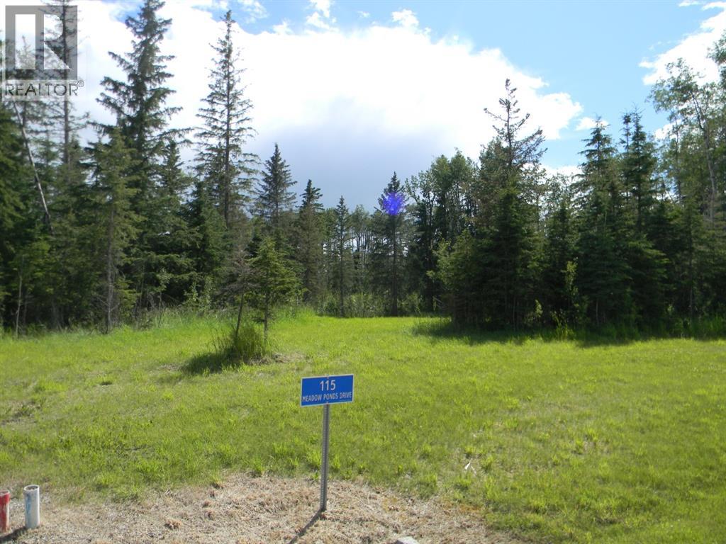 115 Meadow Ponds Drive, Rural Clearwater County, Alberta  T4T 1A7 - Photo 5 - A1020971