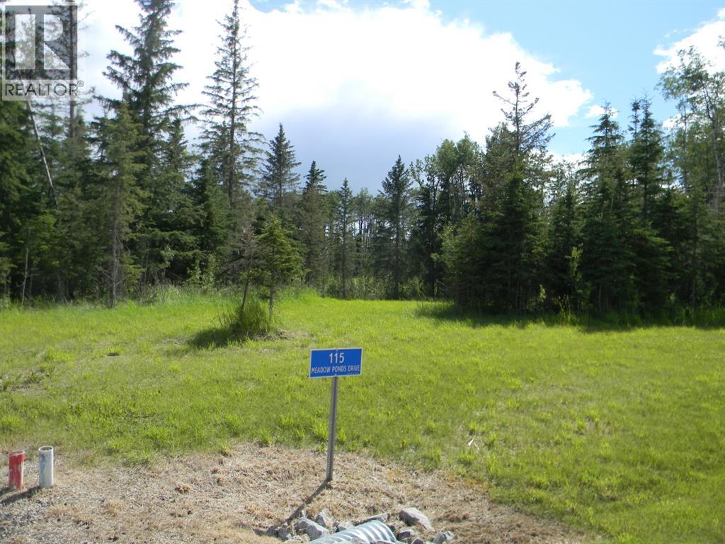 115 Meadow Ponds Drive, Rural Clearwater County, Alberta  T4T 1A7 - Photo 3 - A1020971