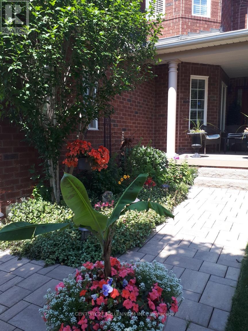 6 Collingwood Avenue, Brampton, Ontario  L7A 2E5 - Photo 3 - W12416973