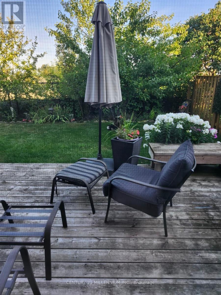 6 Collingwood Avenue, Brampton, Ontario  L7A 2E5 - Photo 39 - W12416973