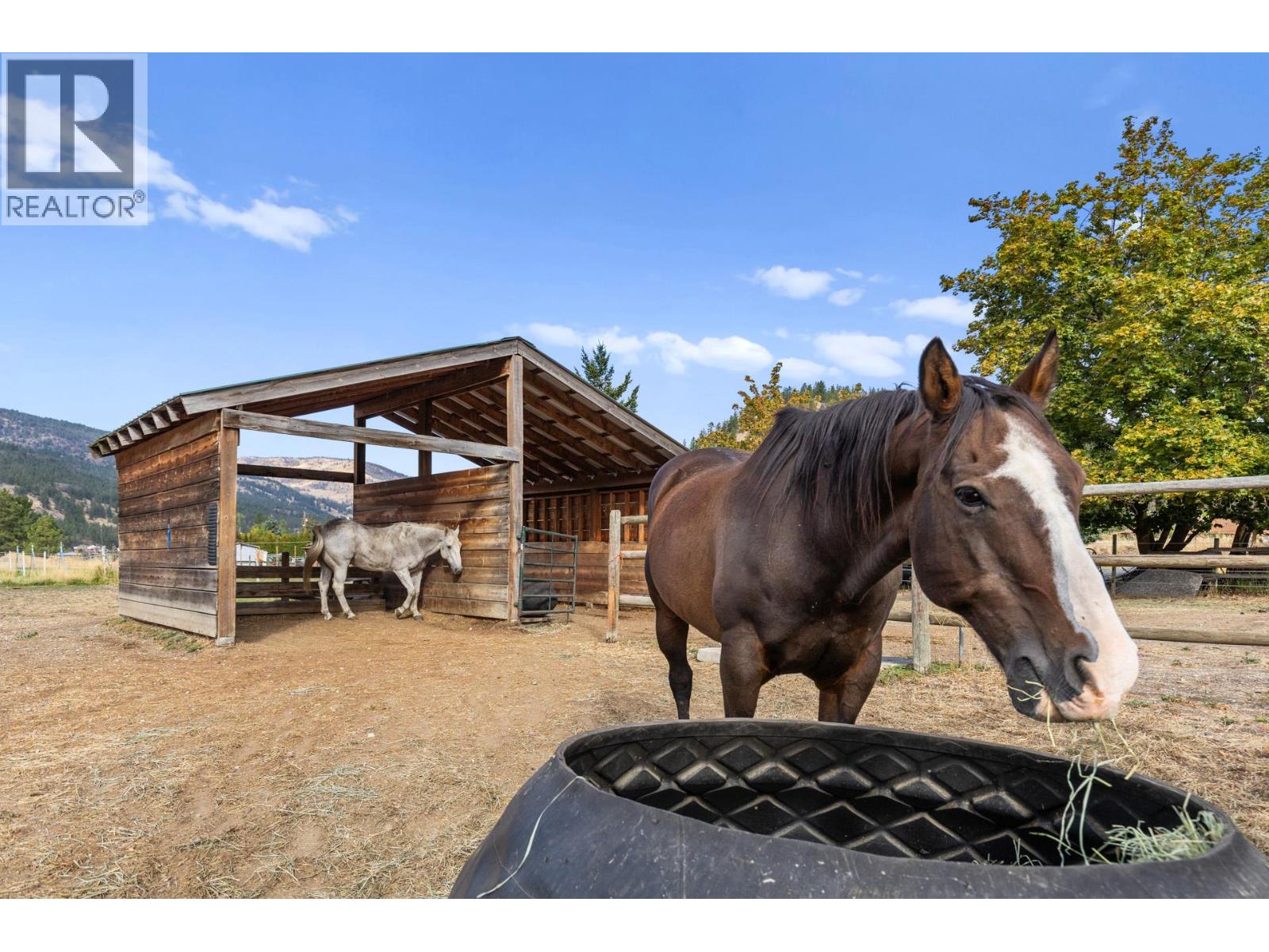 602 Johnson Crescent Oliver Photo 58 602 Johnson Crescent Oliver Photo 58