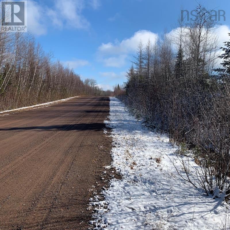 Lot 5 Acre Palmer Road, Wentworth Valley Preserve, Wentworth Valley, Nova Scotia  B0M 1Z0 - Photo 3 - 202507662