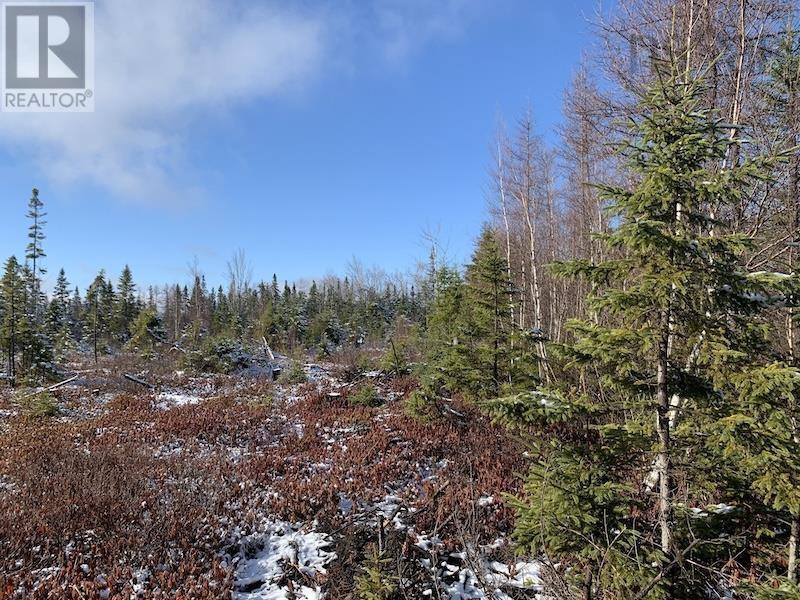 Lot 5 Acre Palmer Road, Wentworth Valley Preserve, Wentworth Valley, Nova Scotia  B0M 1Z0 - Photo 4 - 202507662