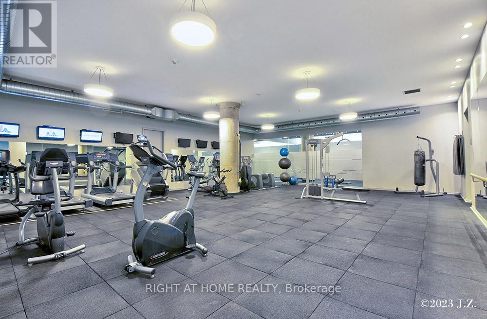 217 - 637 Lake Shore Boulevard W, Toronto, Ontario  M5V 1A8 - Photo 23 - C12435701