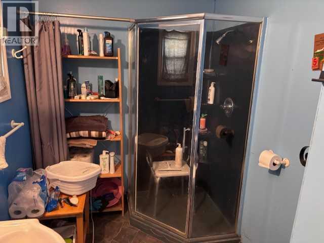 103 Meadow Drive, Benalto, Alberta  T0M 0H0 - Photo 10 - A2258920