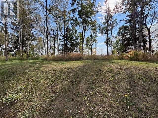 103 Meadow Drive, Benalto, Alberta  T0M 0H0 - Photo 17 - A2258920