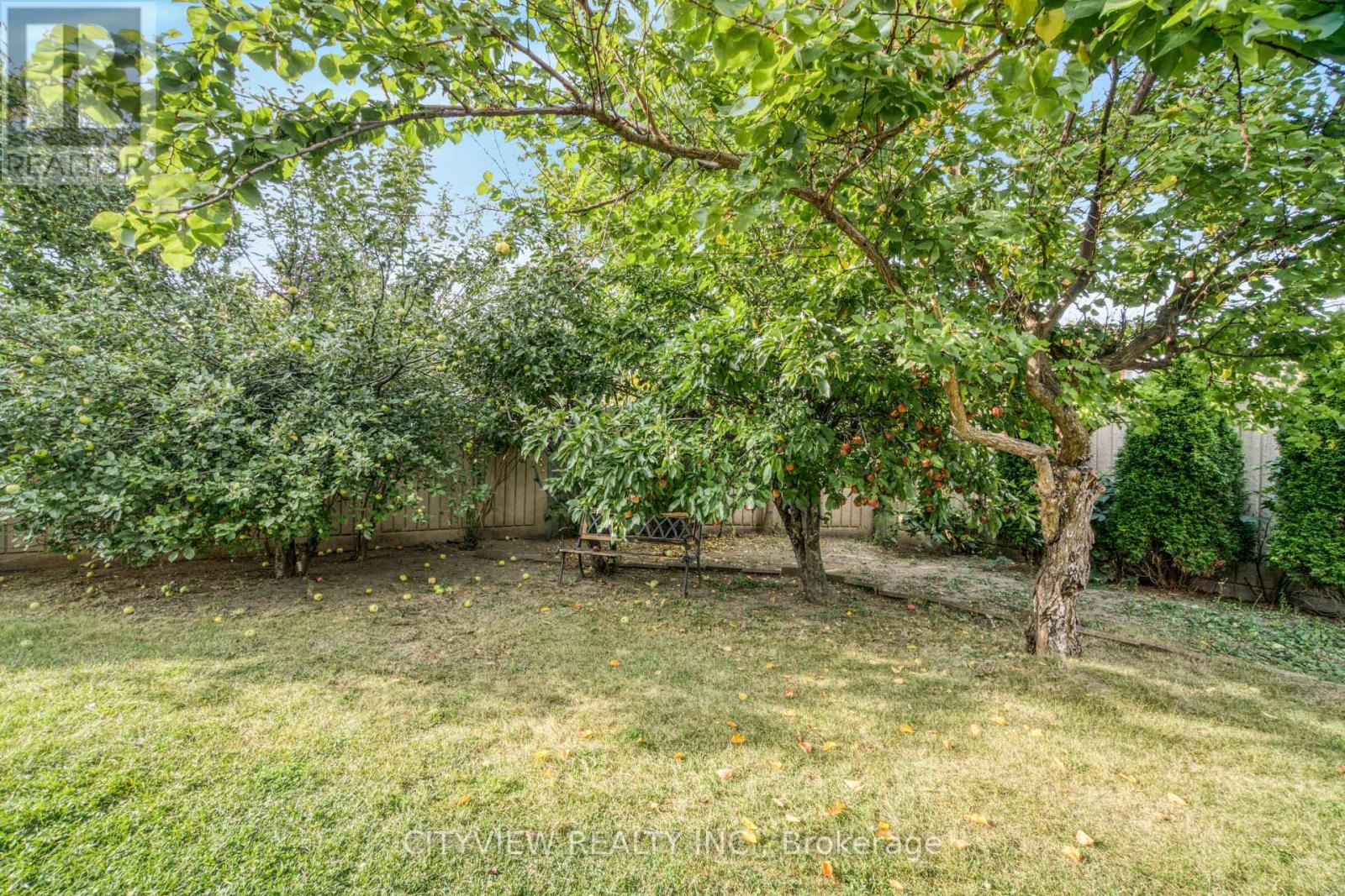 4165 Independence Avenue, Mississauga, Ontario  L4Z 2T6 - Photo 47 - W12435806