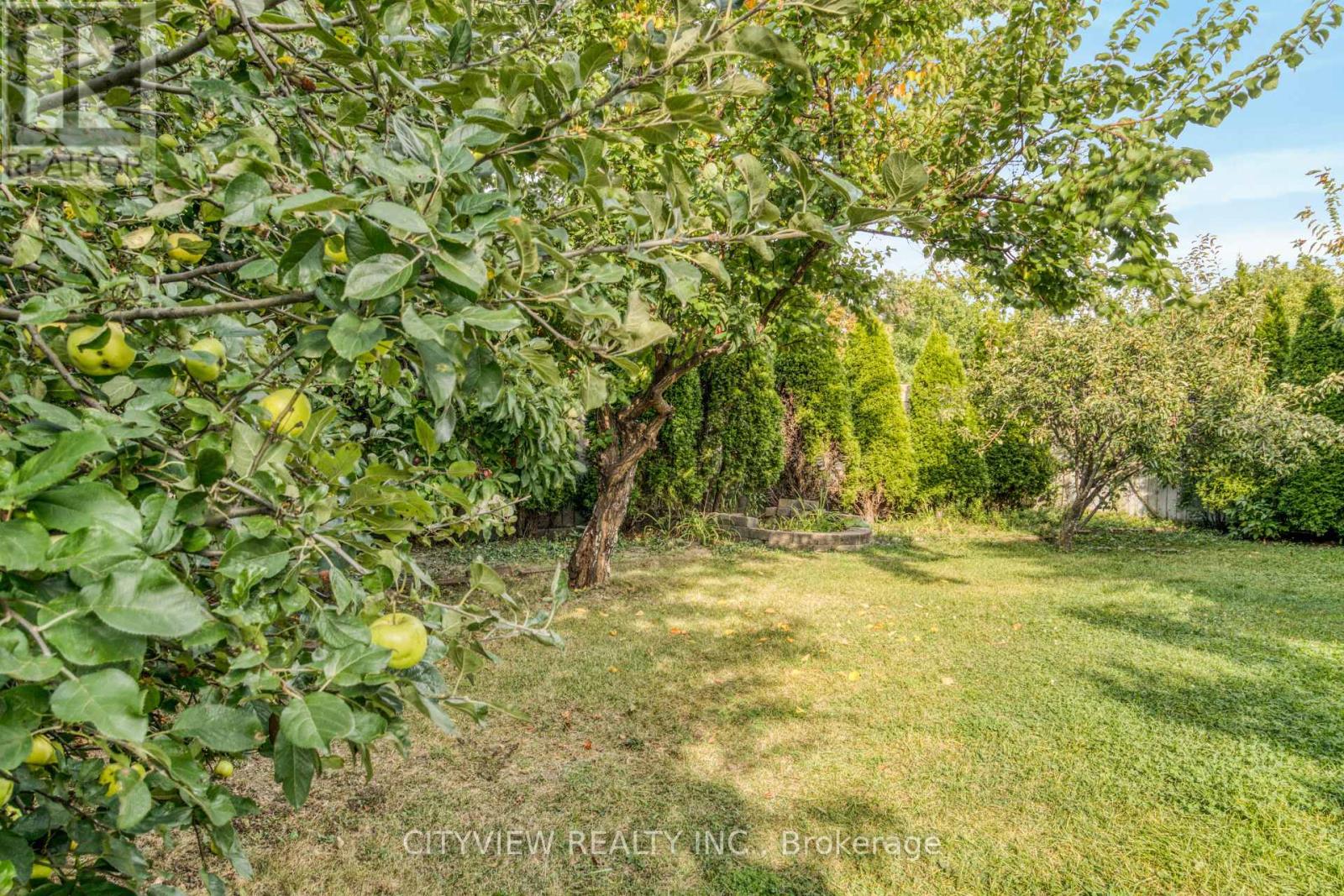 4165 Independence Avenue, Mississauga, Ontario  L4Z 2T6 - Photo 49 - W12435806