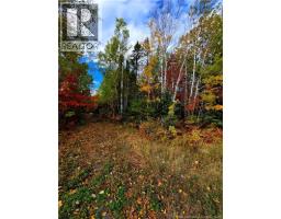 61.28 acres chemin Poirier, Village-Des-Poirier, New Brunswick