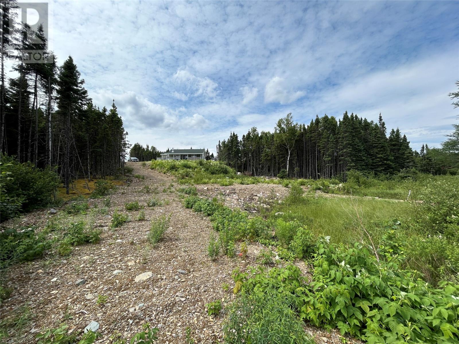 Lot 57297 Nugent's Lake, Grand Falls-Windsor, Newfoundland & Labrador  A2A 2G3 - Photo 10 - 1285447